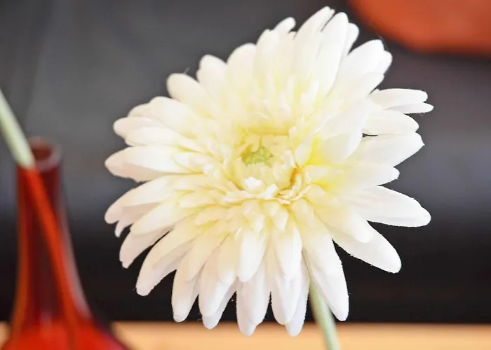 Haus Möwe - Apt. 013 Sellin (Rugen)